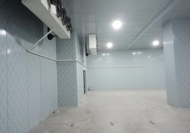 建冷库应该如何挑选合适的机组和内机？专业选购指南助您高效制冷